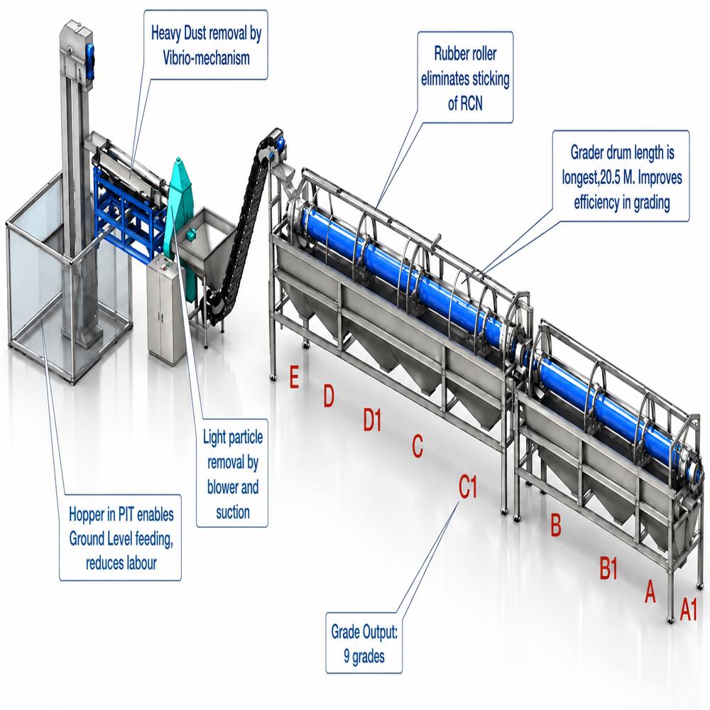 Raw Size Cashew Sorting Machine