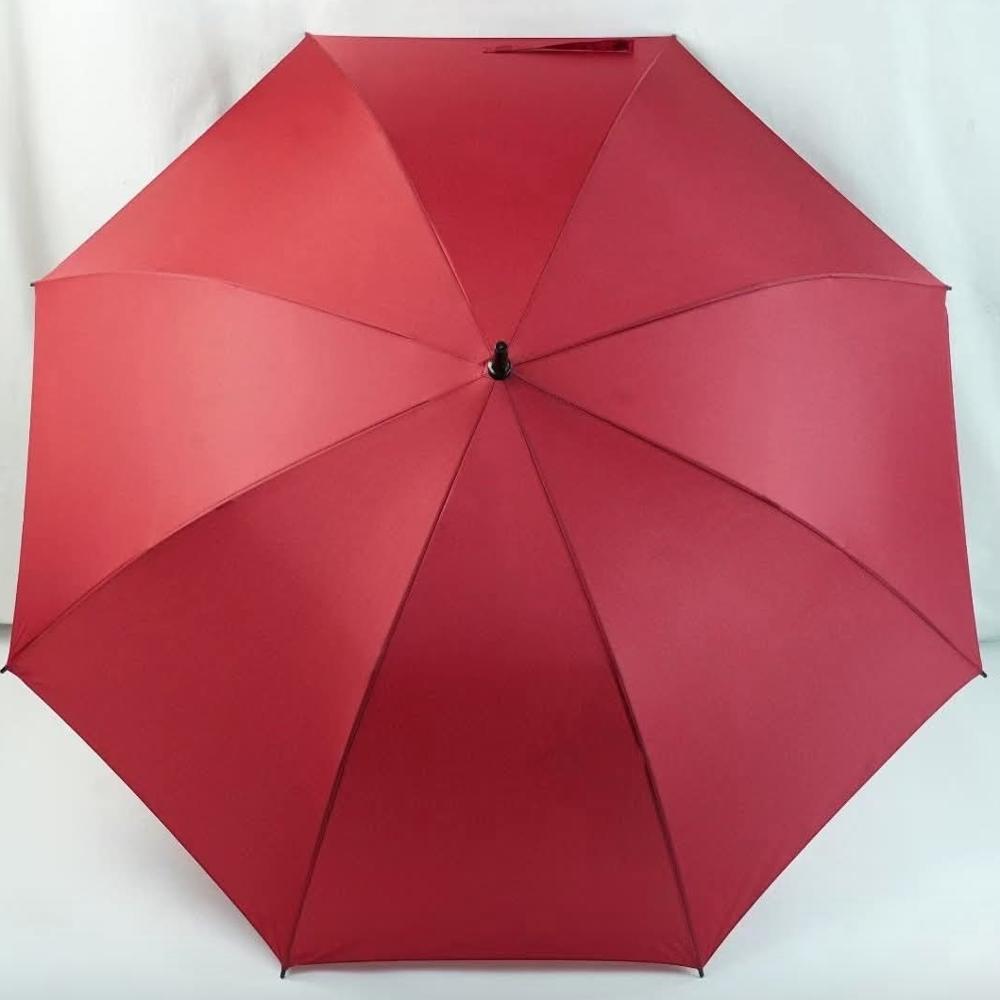 hand Umbrella