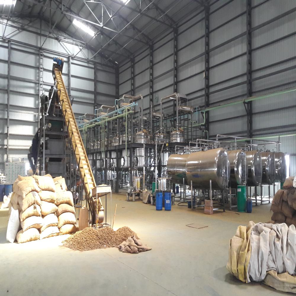 Senna Leaves Extraction Plant - Capacity: 1 Ton/day