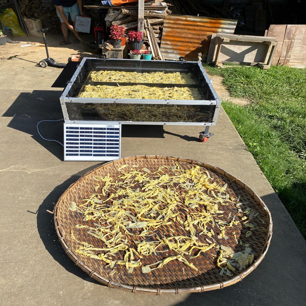 RSDAL4TAL 10kg Solar Dryer