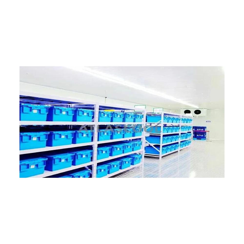 Pharma Cold Storage Cabinets