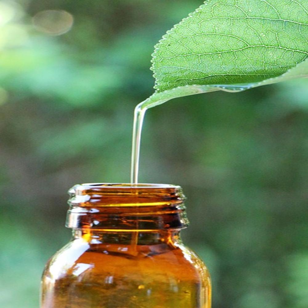 Eucalyptus Oil