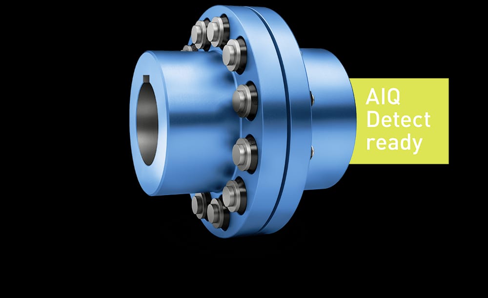 Industrial Flexible Couplings