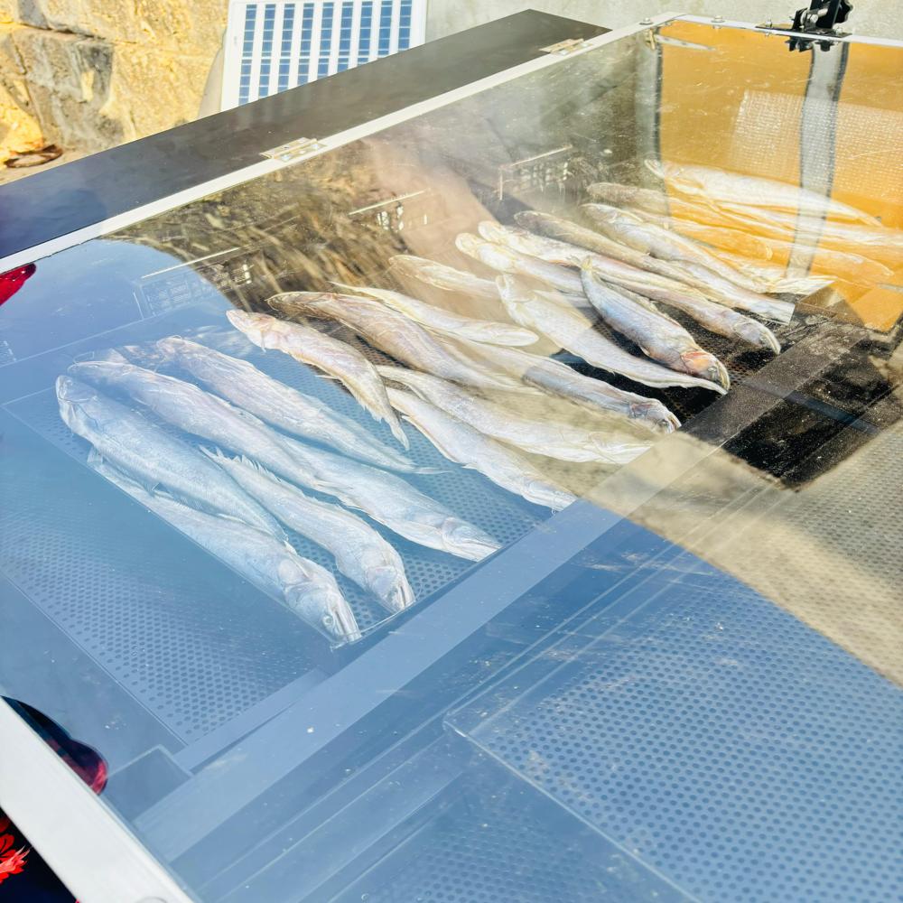 Solar Drying Machine - Application: Industrial