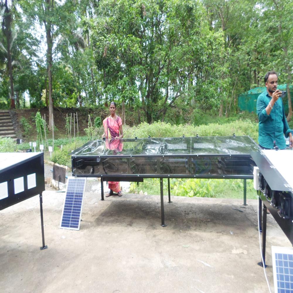RSDAL18TALEB 50kg Hybrid Solar Dryer