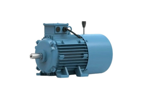 Crane and Hoist Duty Motors