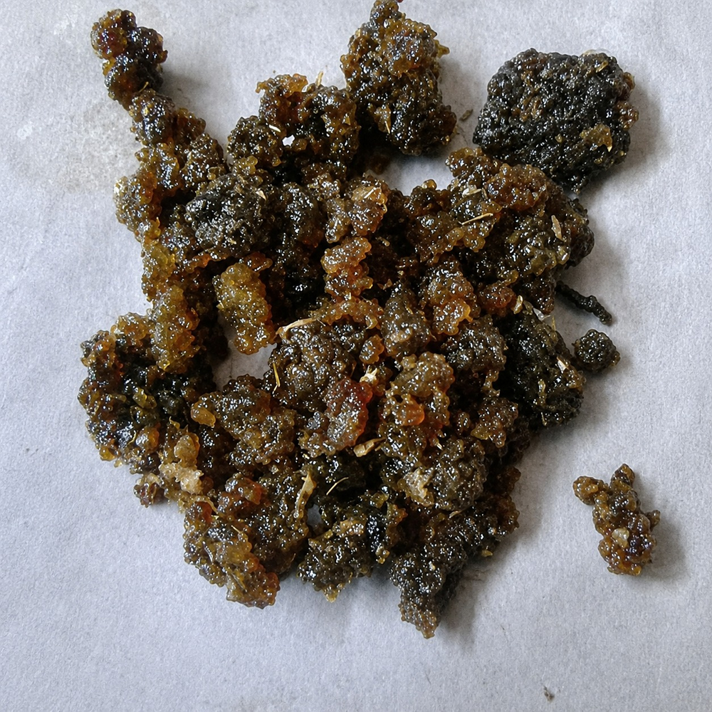 Indian Guggul Gum