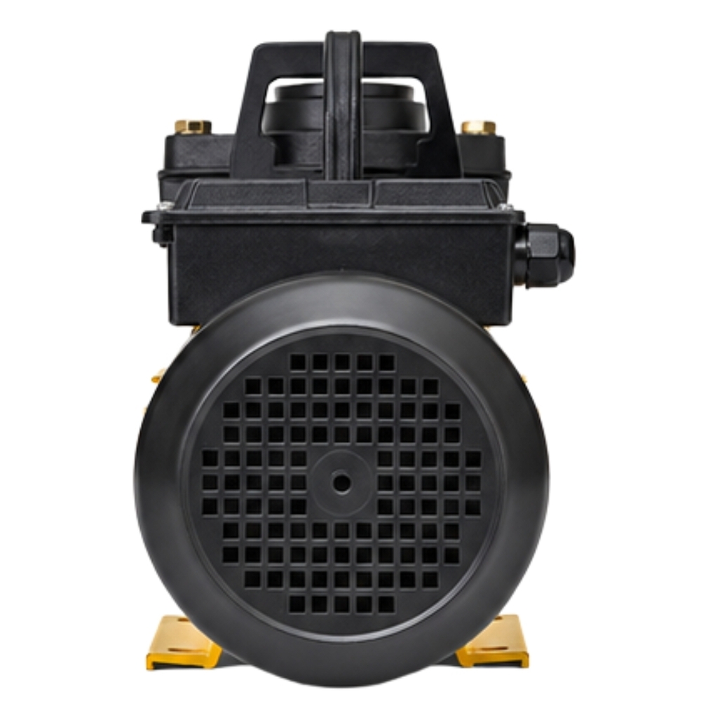 Monoblock Pump - Caliber: Standard