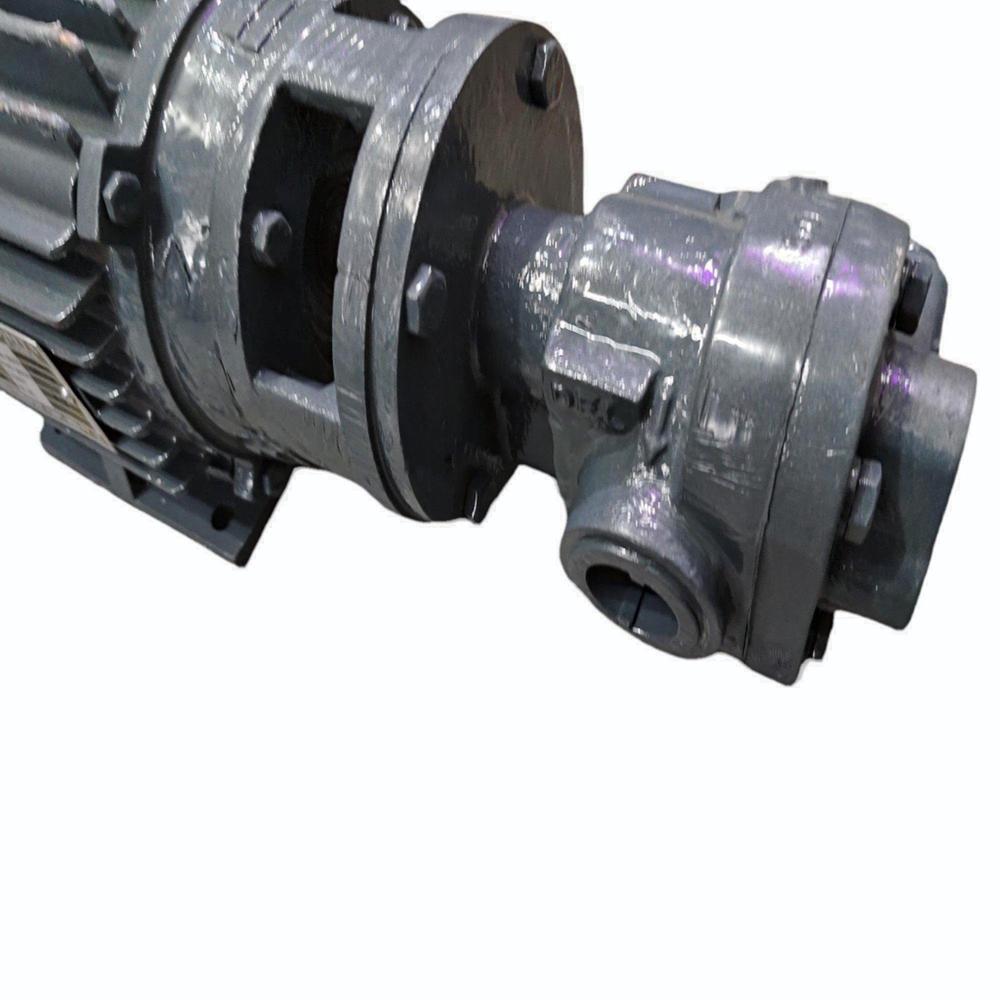 Rotary Gear Pump With Motor