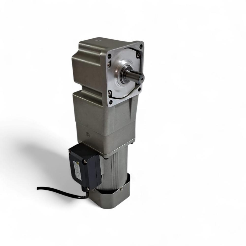 AC Geared Motor Manufacturer in MUMBAI
