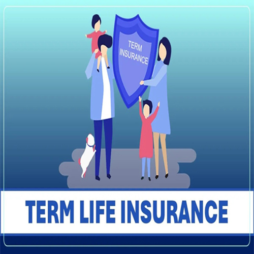 Term Life Insurance