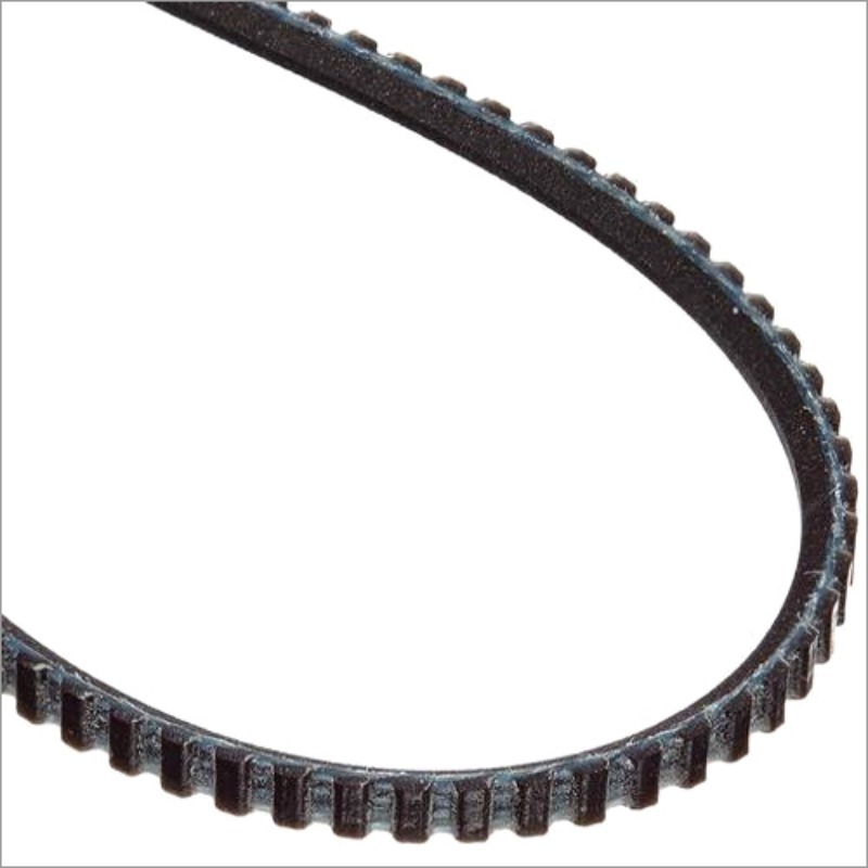 Poly V Belt - Belt Color: Black