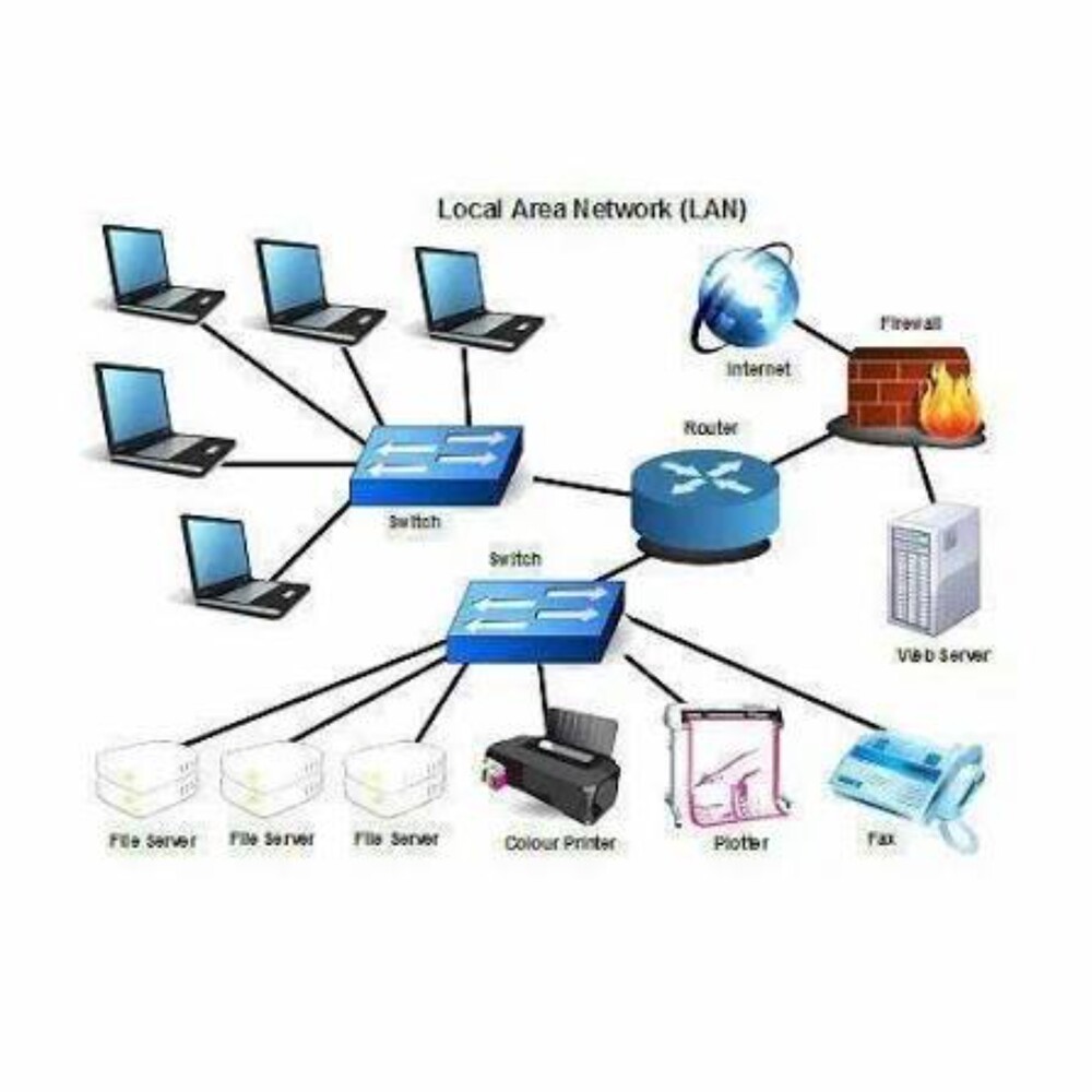 Commercial Lan Networking Services