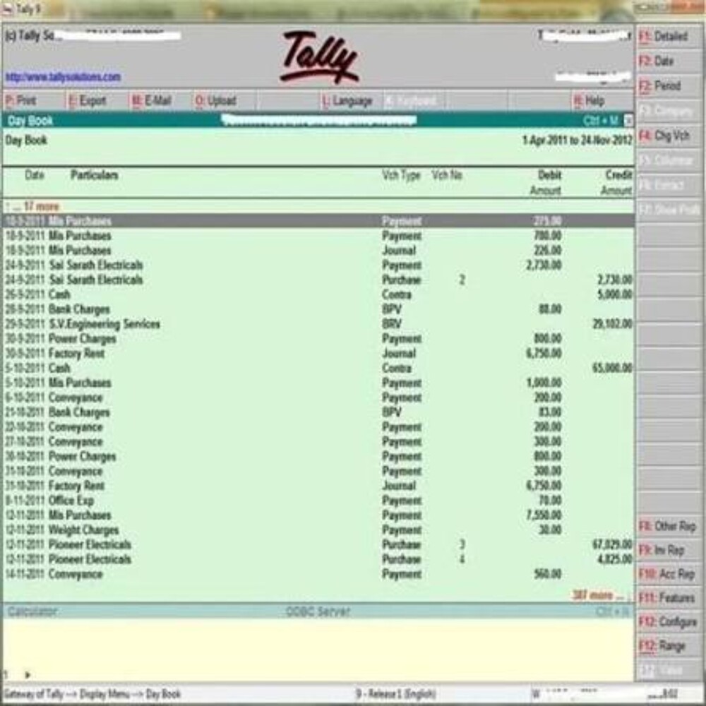 Tally Accounting Software - Cloud-based Platform, Intuitive User Interface, Encrypted Data Security , Gdpr Compliance For Financial Record Keeping And Reporting