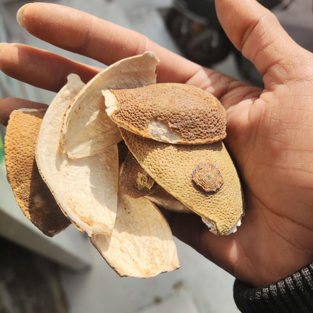 Dry Orange Peel - Santra Chilka