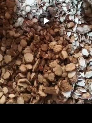 ज़ेडोवॅरी की जड़ें
