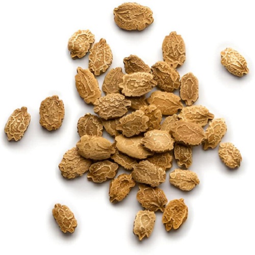 Karela Seed - Bitter Gourd Seed