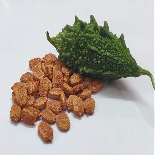 Karela Seed - Bitter Gourd Seed