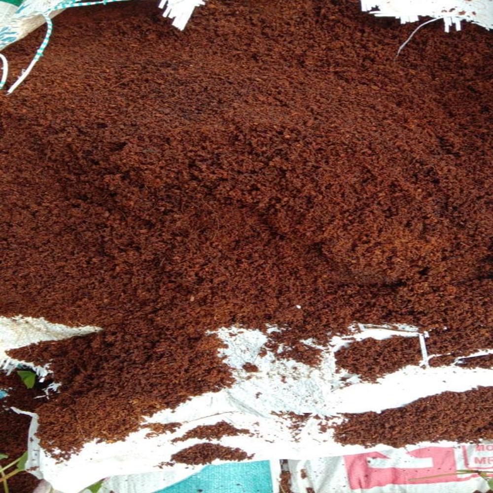 Coco Peat 