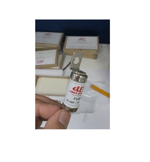 Usha Electric Make 80 amp 800 Volt HRC Fuse