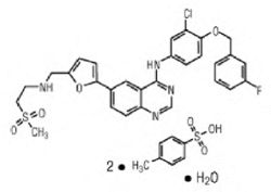 Lapatinib Tablet Generic Drugs