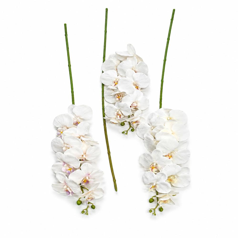 Royal Petal Decor