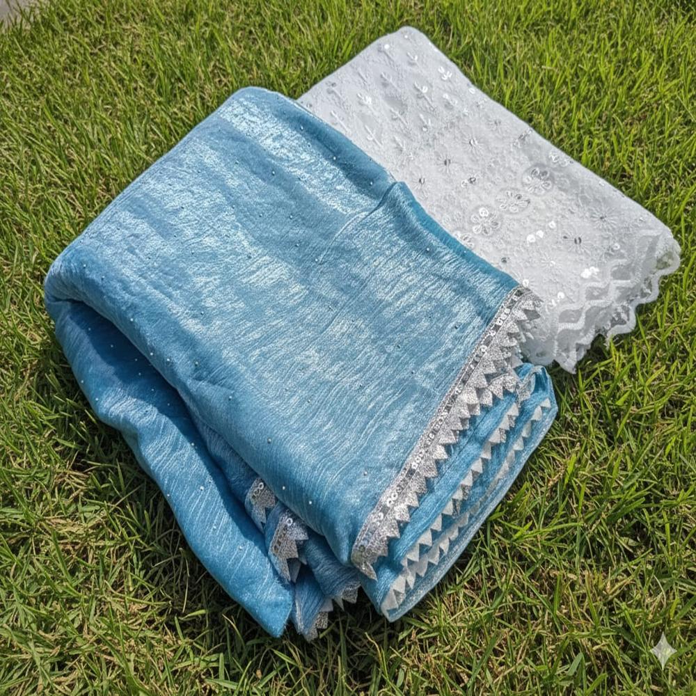 Women's Jimmy Choo Heavy & Premium Saree