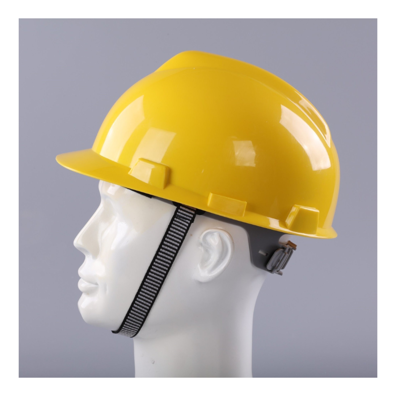 Protective PP ABS Helmets