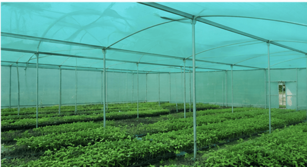 Greenhouse Shading Net - Advantage: Uv Stabilized