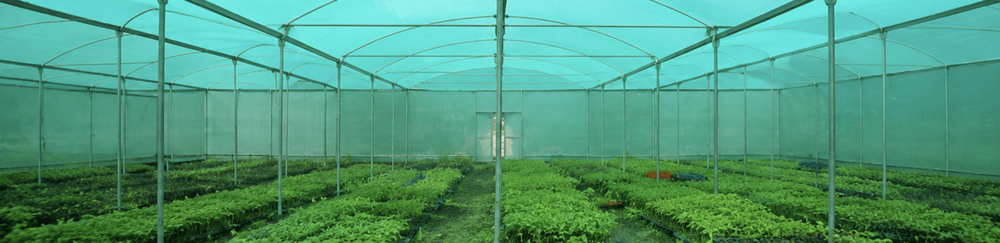 Greenhouse Shading Net