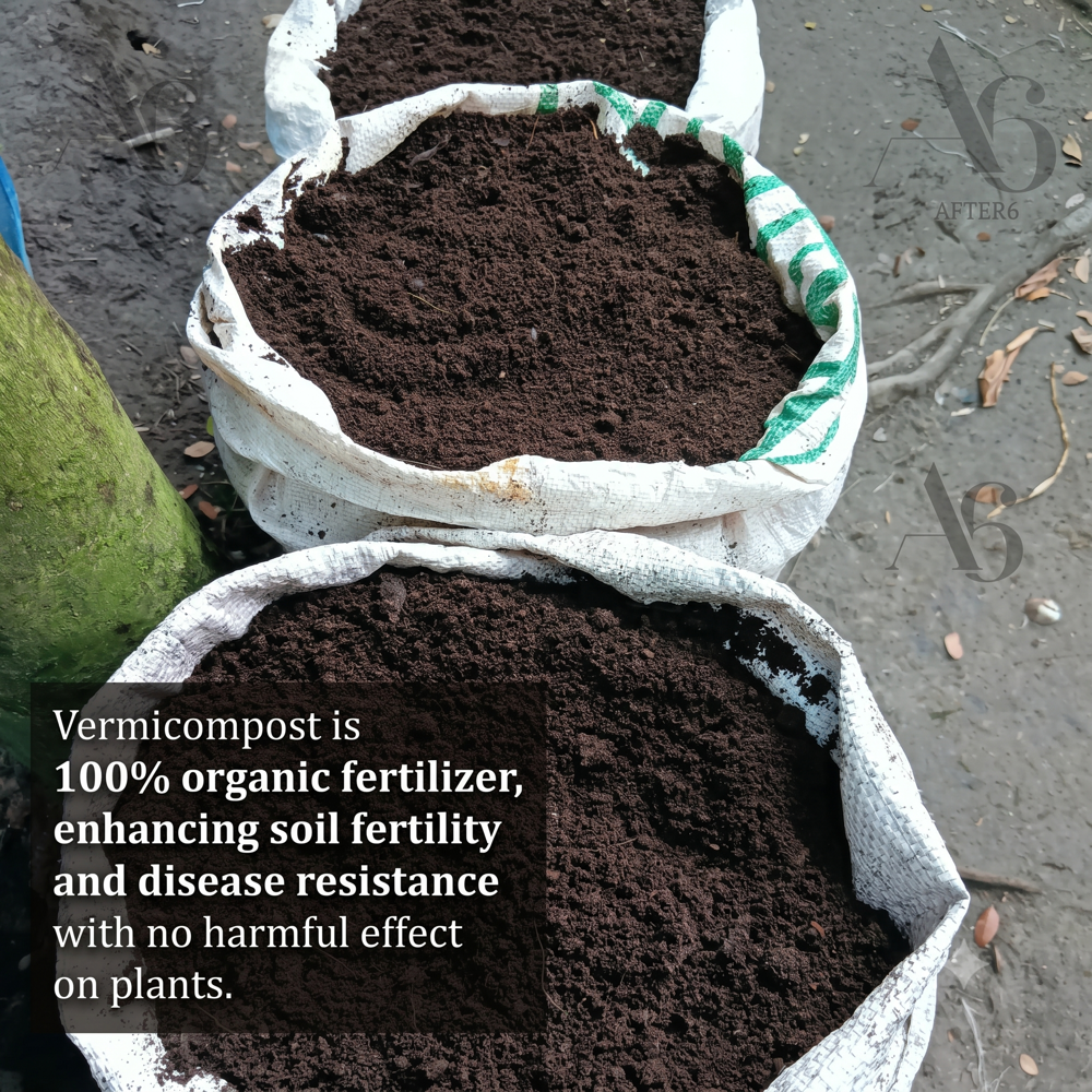 High-Yield Vermicompost | Natural Soil Conditioner & Organic Fertilizer (Bulk Export)