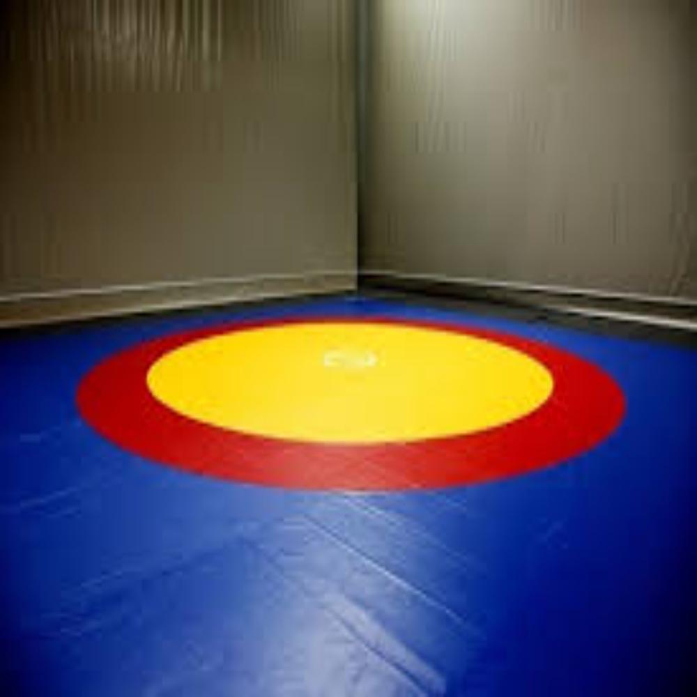 Wrestling mat