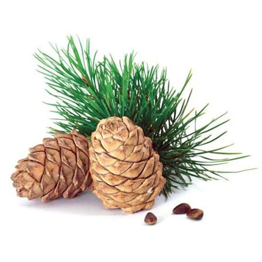 CEDARWOOD OIL - VIRGINIA