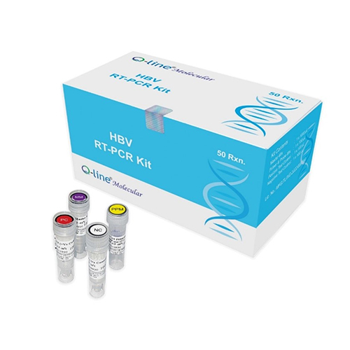 HBV RT PCR Kit