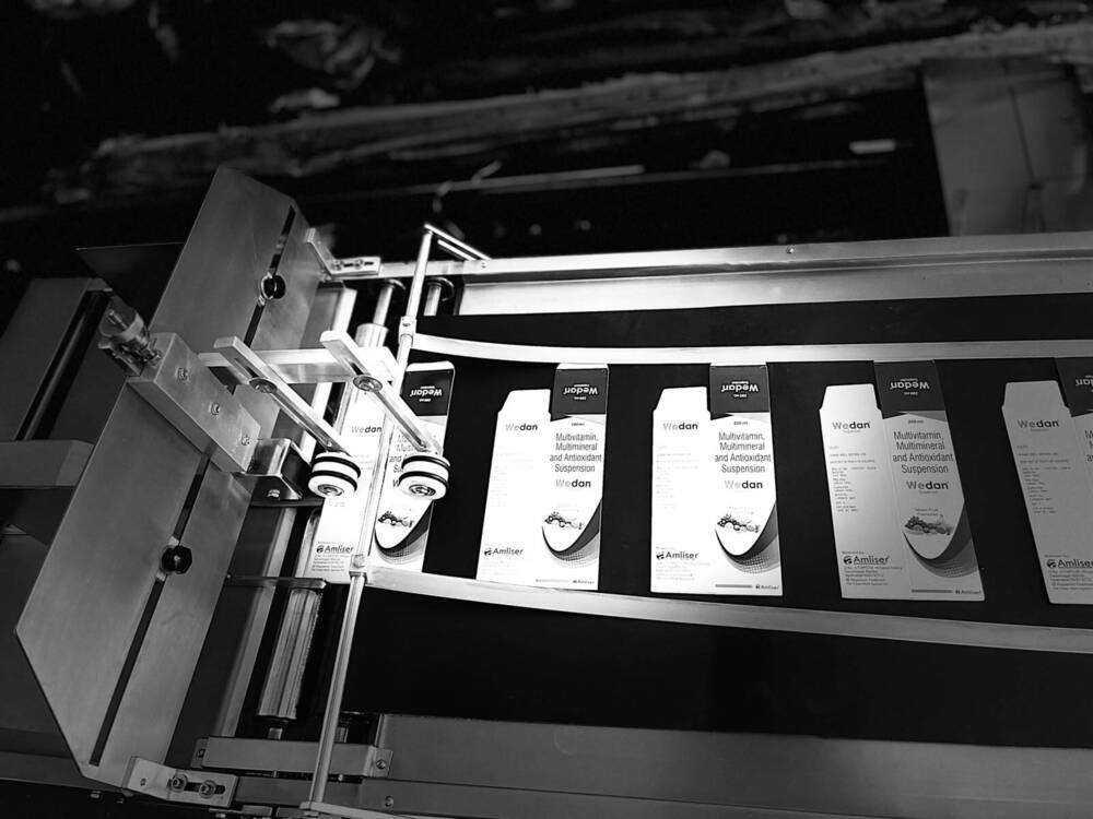 Conveyor Feeding System