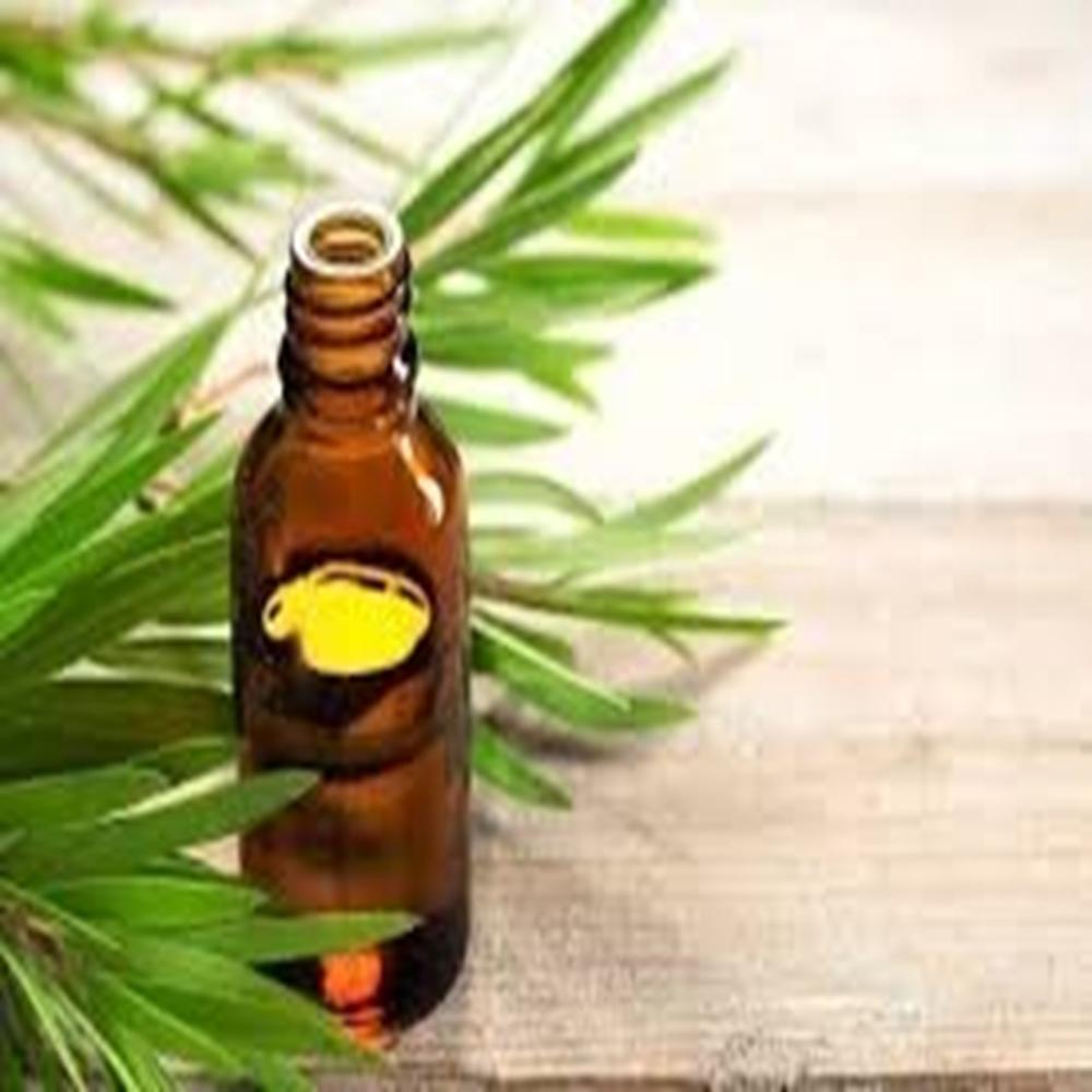 Tea Tree Essential Oil African