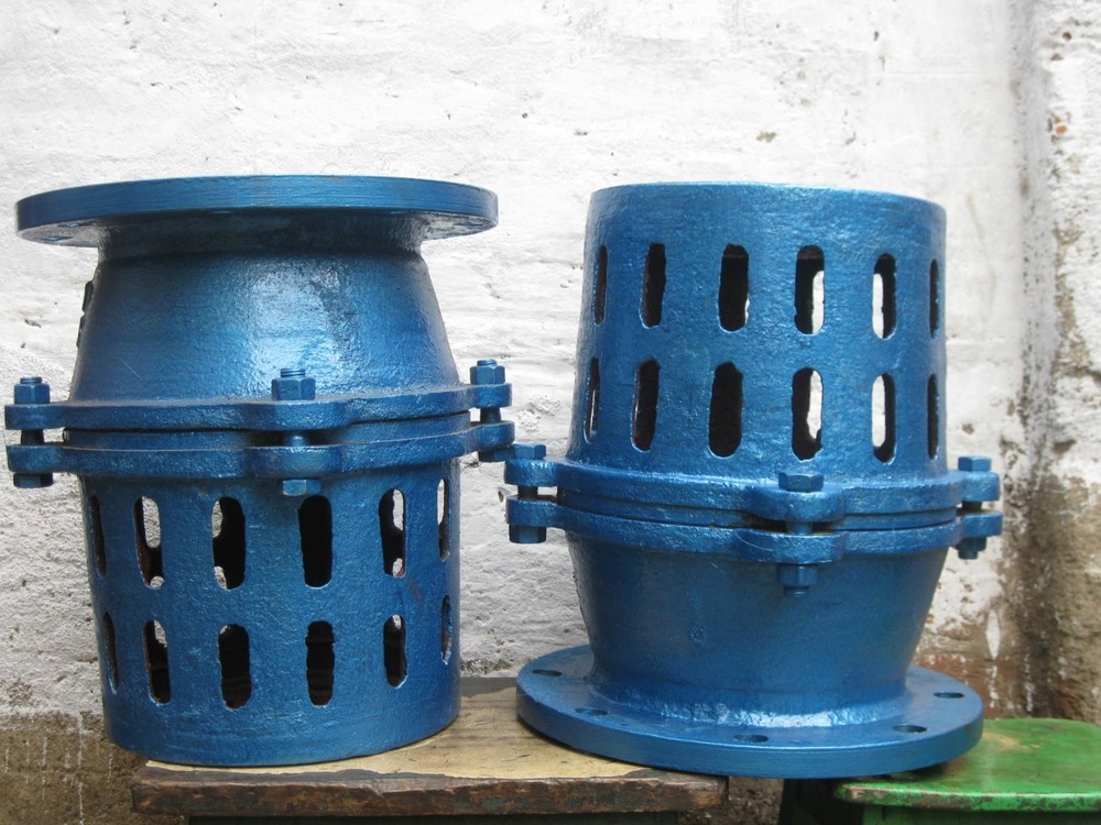 Cast Iron Foot Valve - Features: Corrosion Resistant