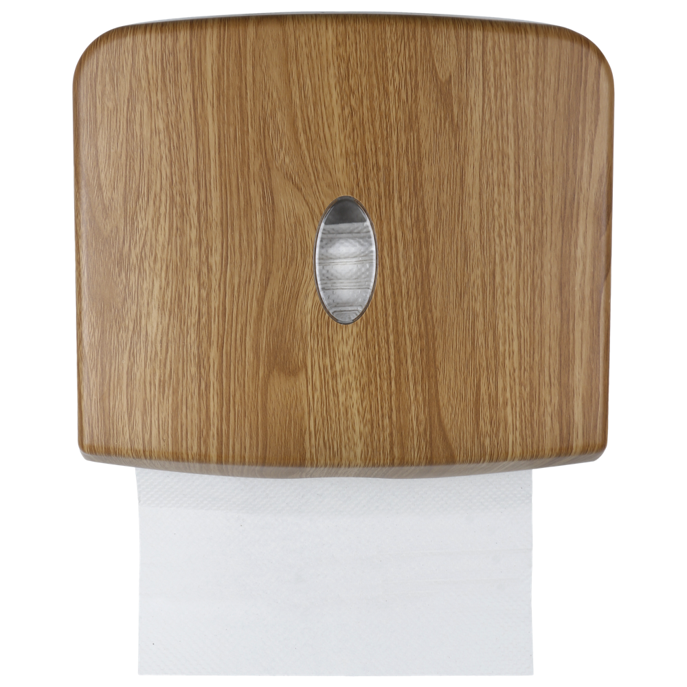 Paper Towel Dispenser