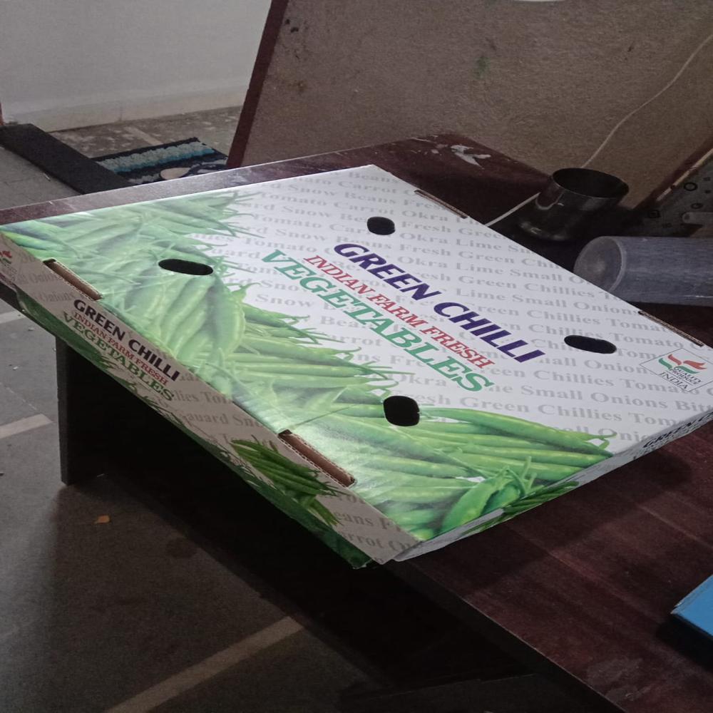 Printed Corrugated Boxes - Color: Multi Color