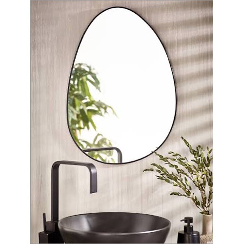 Toilet Mirror