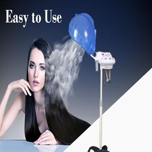 ELECTRIC HEAD STEAMER 16B