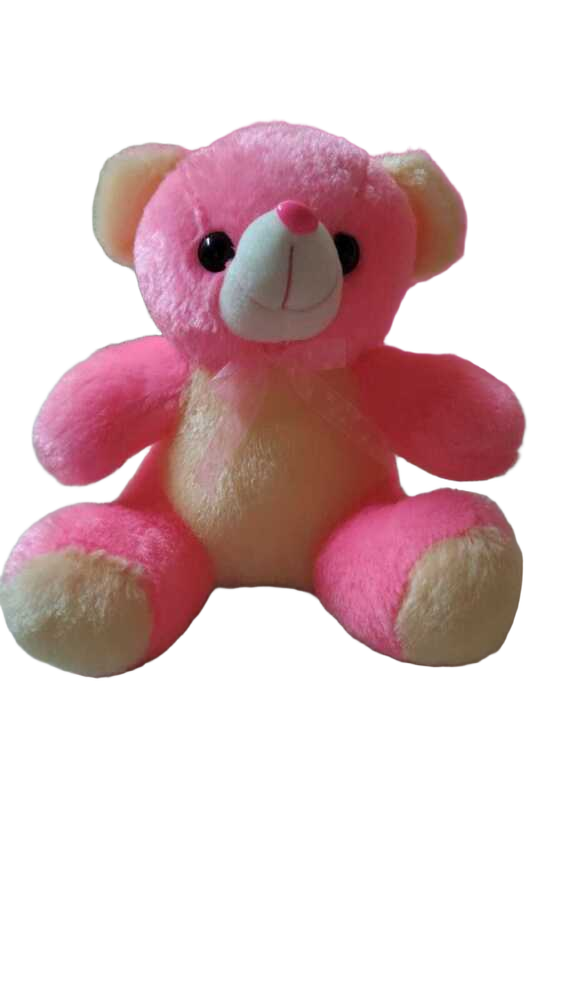 25CM Pink Teddy