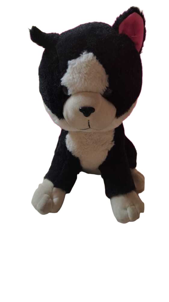 Black Cat Teddy 35CM