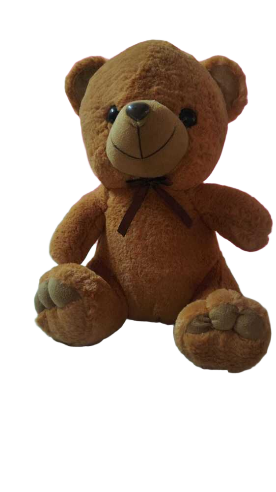 Brown Teddy 33CM
