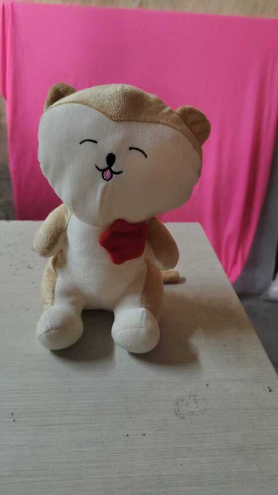 Cat Flower Teddy