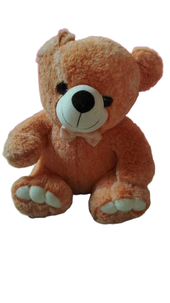 Duel Ton Teddy