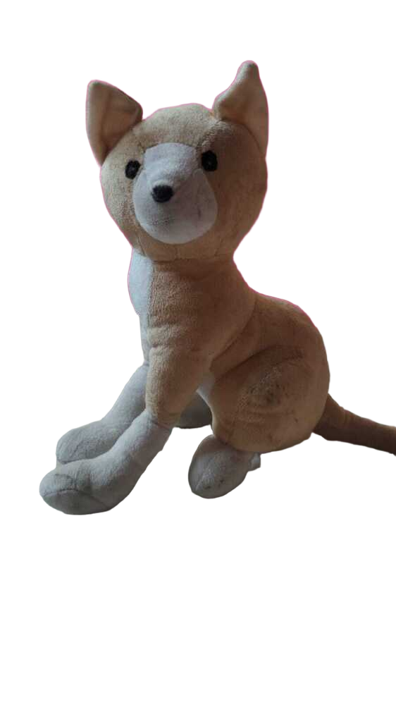Long Leg Cat Teddy