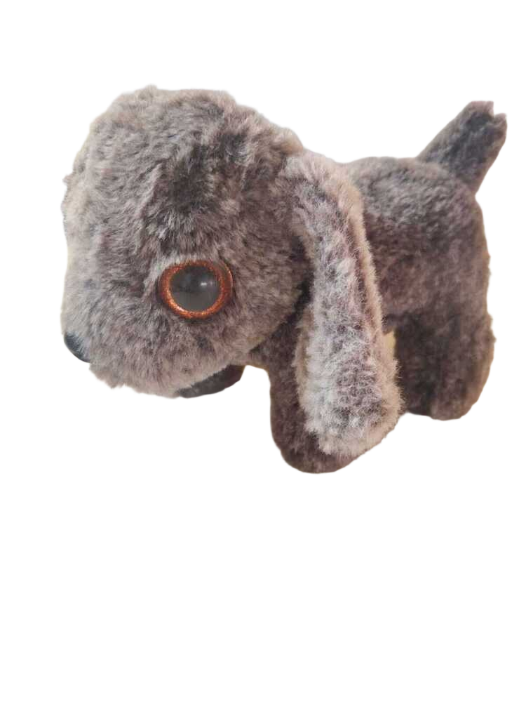 Pappy Teddy