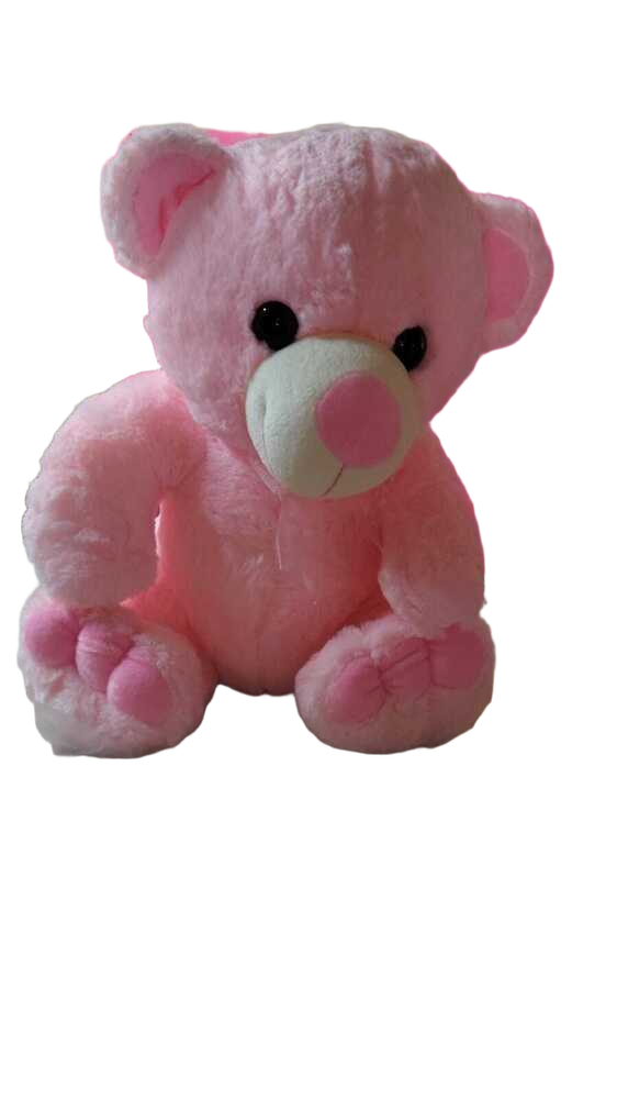 Pink Teddy 40CM