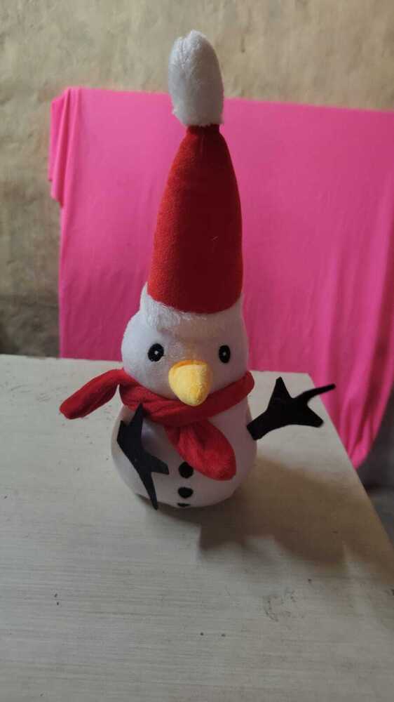 Santa Duck